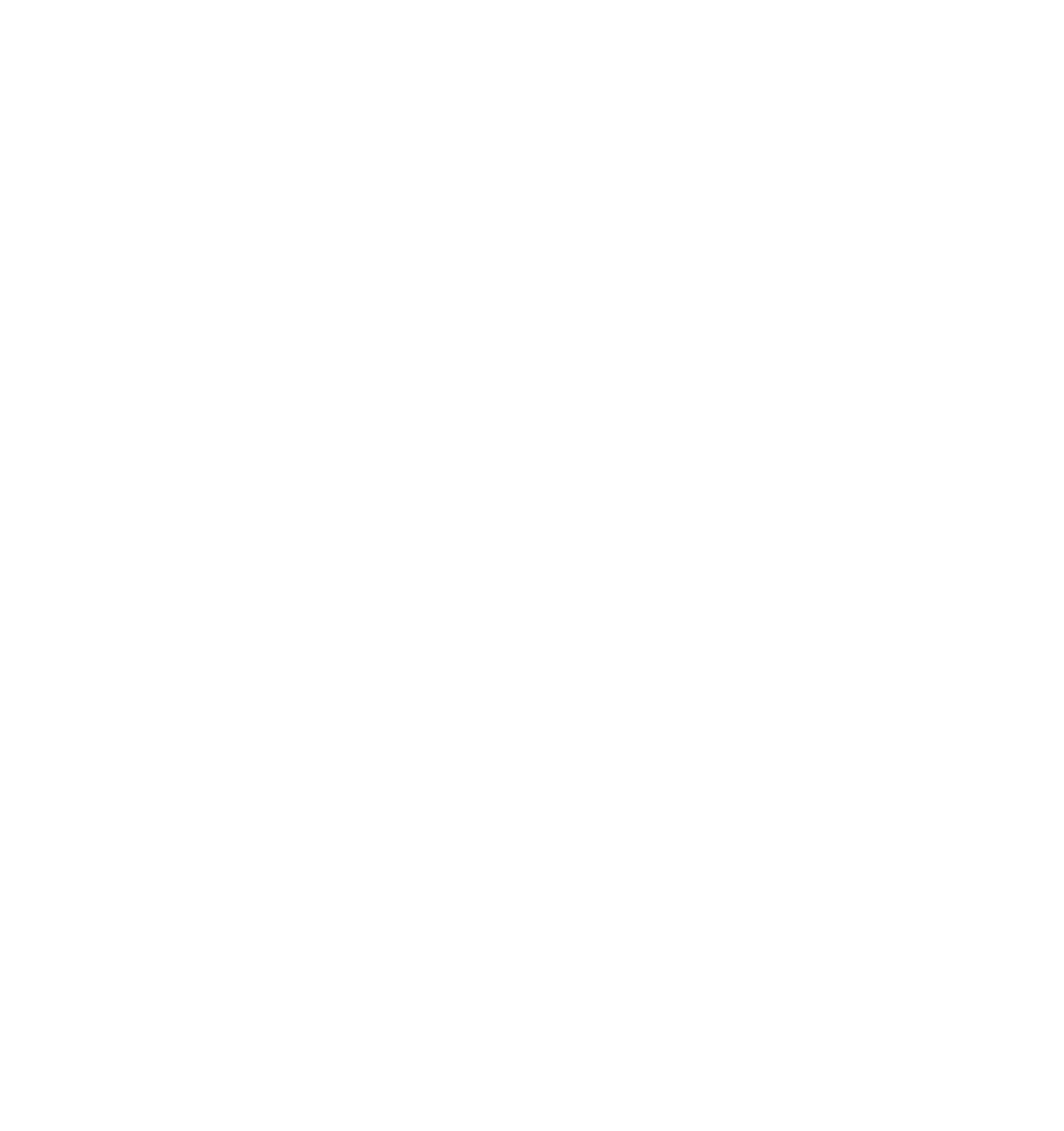 Dragon outline illustration